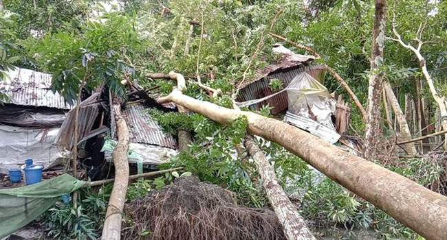 ঘূর্ণিঝড় সিত্রাংয়ে মৃত্যু বেড়ে ৩৩ জনে